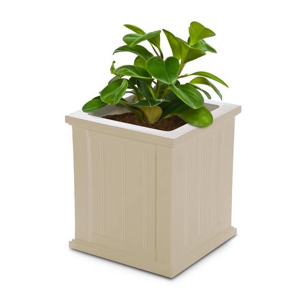 Mayne Self-Watering Cape Cod 16 in. Square Clay Plastic Planter