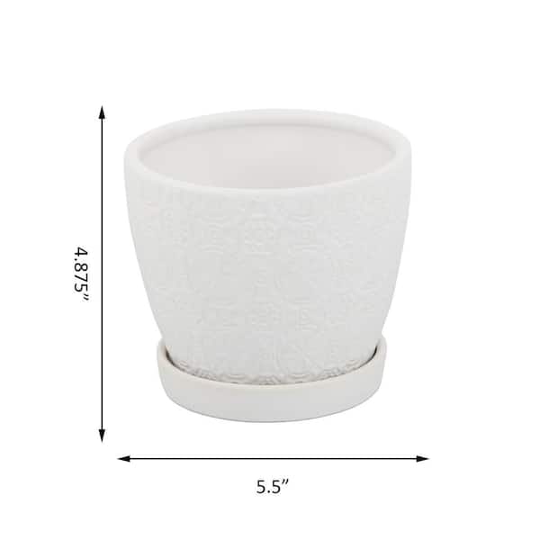 H) The - Textured Small in. Chrysanthemum 4.8 Home Pot Ceramic Vigoro Saucer D x CT1485-MTWH (5.5 White Depot in. Attached in. 5.5 with