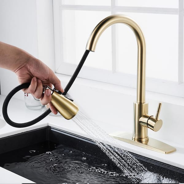 FORIOUS Single Handle Kitchen Faucet with Pull Down Sprayer High