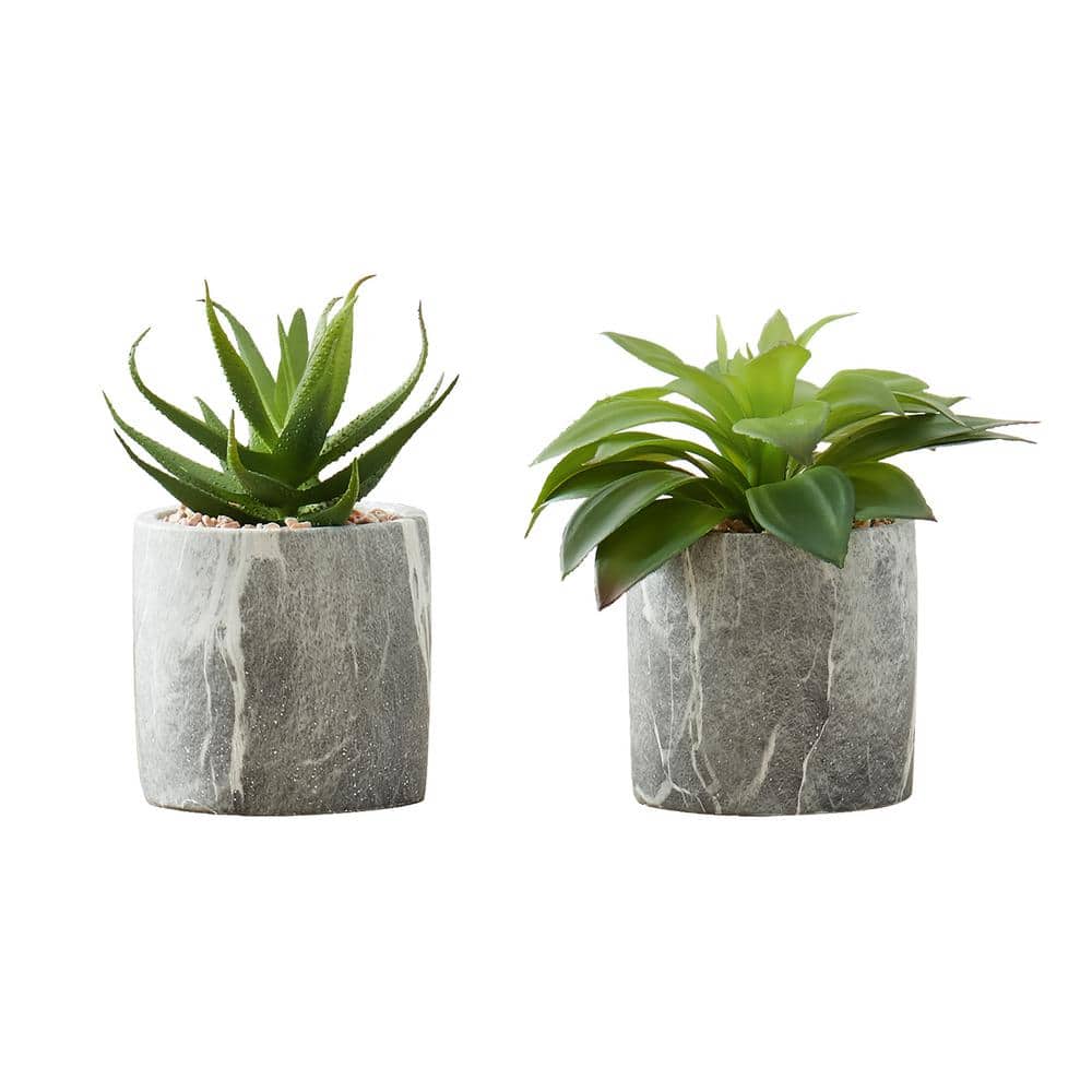 2 piece 7 in Green Succulents in 4 in Grey Cement Pots
