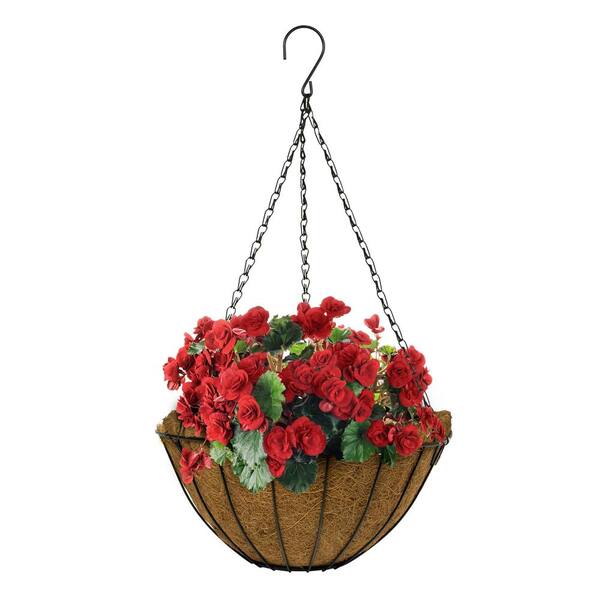 Vigoro 14 In Metal Growers Hanging Coco Basket Hgb14vg The Home Depot