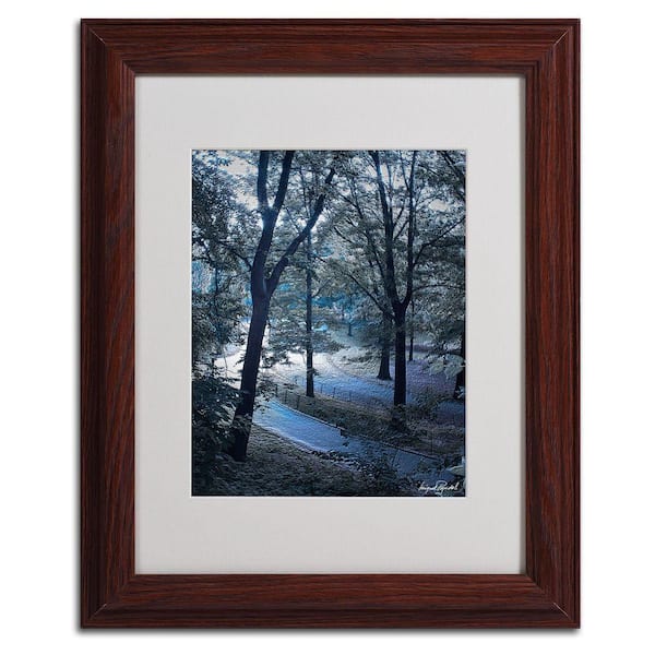 Trademark Fine Art 11 in. x 14 in. Snow Flakes Matted Framed Art