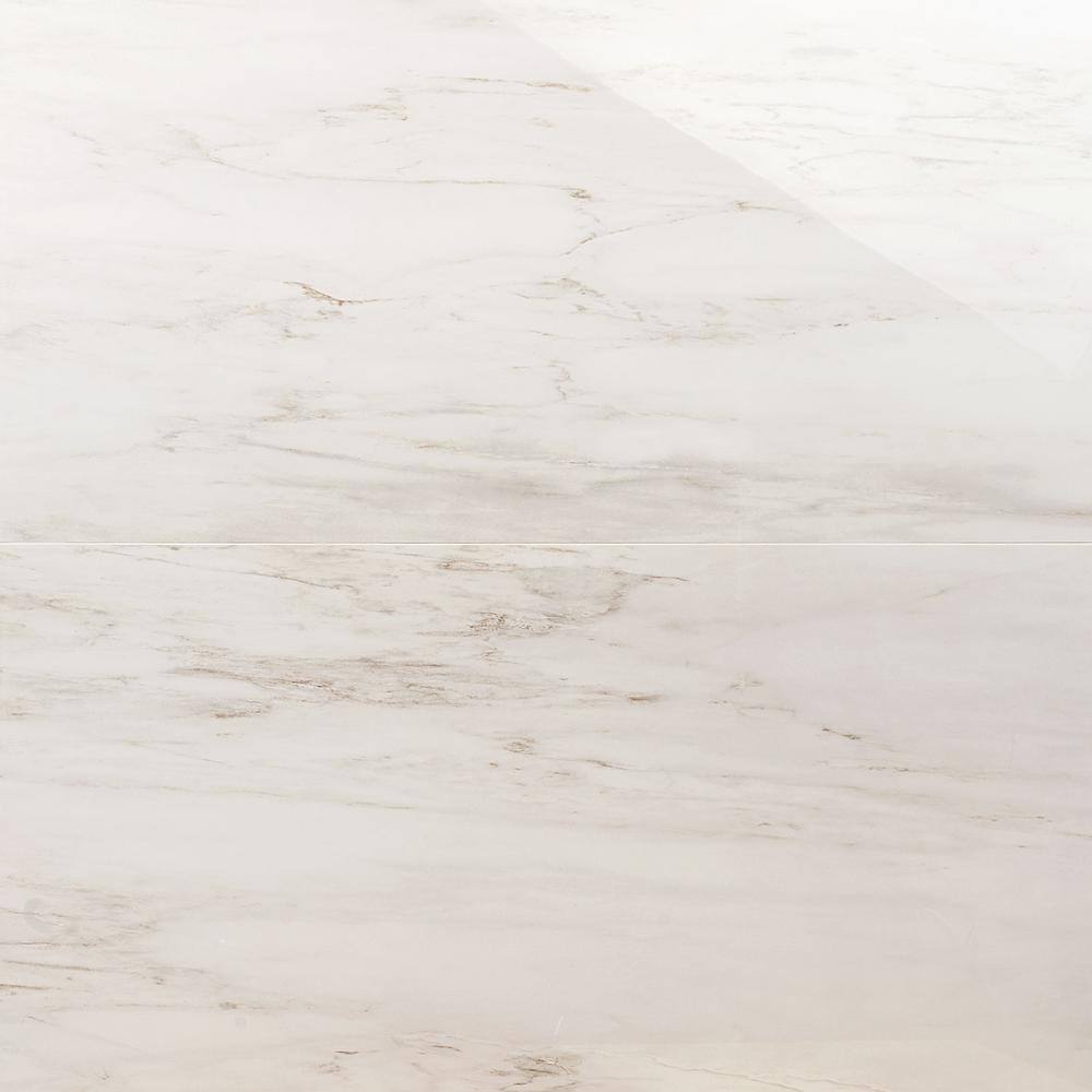 Saroshi Dolomite Snow 4 in. x 0.31 in. Polished Marble Look Porcelain Floor and Wall Tile Sample price history on PriceWatchPro