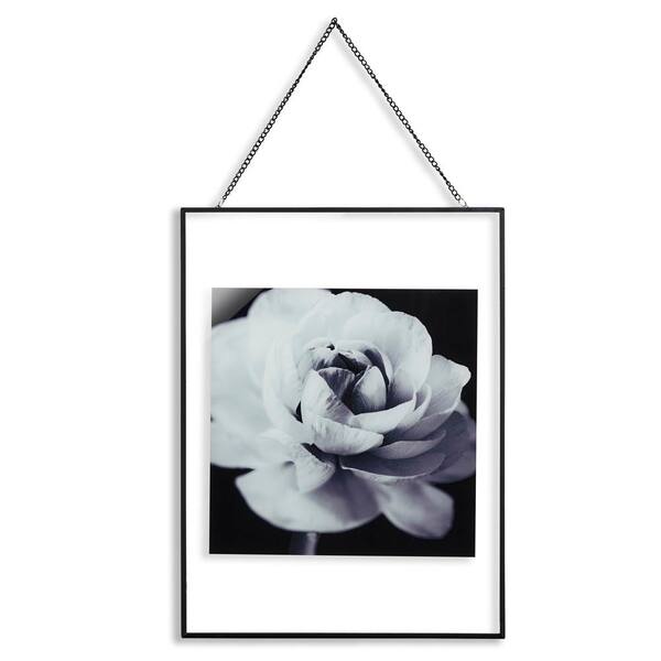 Arthouse Cabbage Rose Glass Framed Print Wall Art
