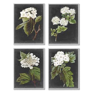 Charming White Cottage Florals Charcoal Grey By Vision Studio 4-Piece Framed Print Nature Texturized Art 11 in. x 14 in.