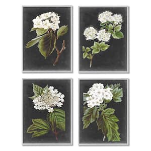 Charming White Cottage Florals Charcoal Grey By Vision Studio 4-Piece Framed Print Nature Texturized Art 16 in. x 20 in.