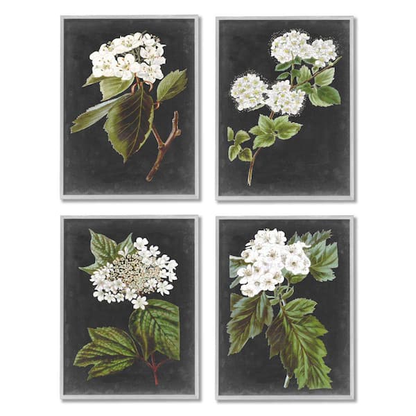 Stupell Industries Charming White Cottage Florals Charcoal Grey By Vision Studio 4-Piece Framed Print Nature Texturized Art 11 in. x 14 in.