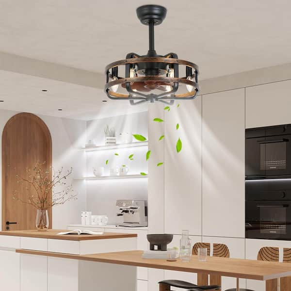 19.68 in. Indoor Black Retro Industrial Caged 6-Speed Ceiling Fan with Remote and Reversible Motor, No Bulbs Included