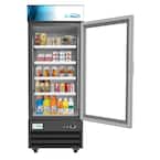 23 cu. ft. Commercial Upright Display Refrigerator Glass Door Merchandiser with LED Lighting in Black