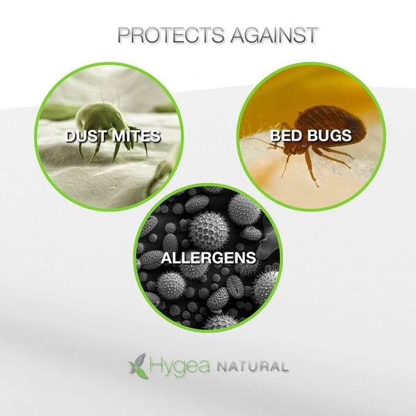 Hygea Natural Waterproof Dust Mite Lice And Allergen Proof Pillow Encasement Luxurious Bed Bug Pillow Cover In Queen 2 Pack Std Qpl The Home Depot