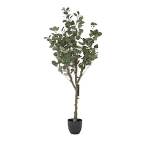 Botanika, 59 .1 in. Green Artificial Eucalyptus Tree in Black Pot