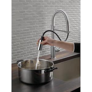 Trinsic Pro Single-Handle Pull-Down Sprayer Kitchen Faucet with Spring Spout in Arctic Stainless