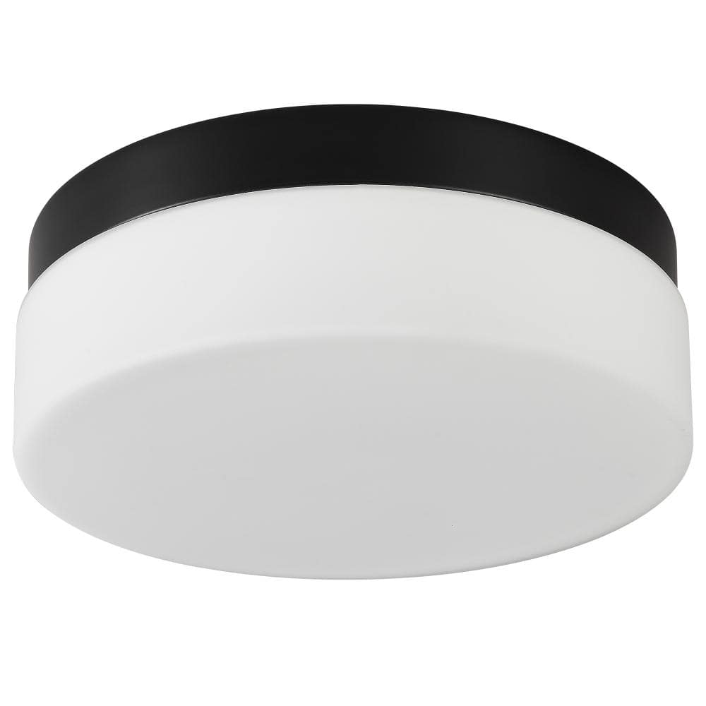 (1-Pack) Ultra-Bright Black LED Recessed Flush Mount Ceiling Light Fixture with 3 Color Temperatures price history on PriceWatchPro