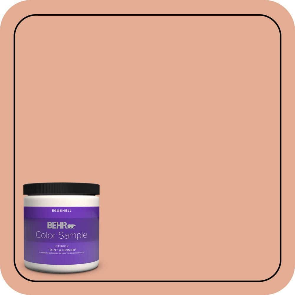 8 oz. #M200-4 Coral Cloud Eggshell Enamel Interior Paint & Primer Color Sample price history on PriceWatchPro