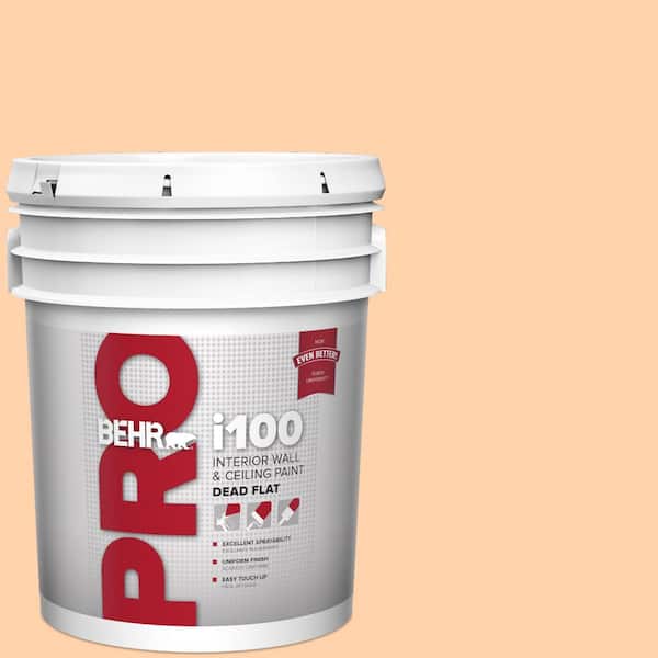 Reviews for BEHR PRO 5 gal. 270A3 Luminary Dead Flat Interior Paint