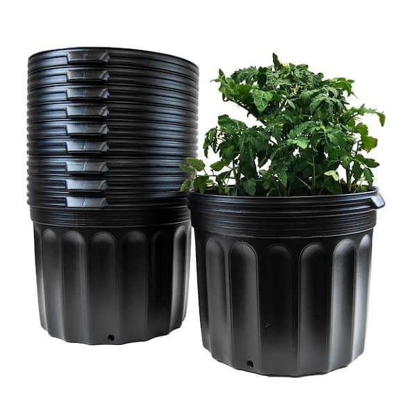 Our Top 40 Good Things  Plastic nursery pots, Pot filler, Plants