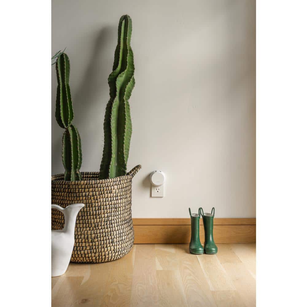 Smart Wi-Fi Enabled White Electric Diffuser with Fragrance Refills