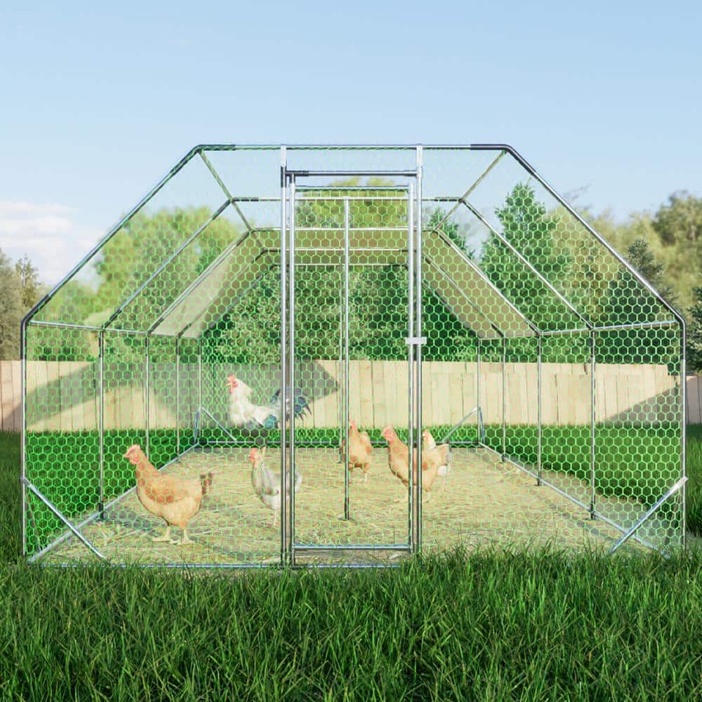 Large Galvanized Metal Walk-In Chicken Coop with Tarp Cover