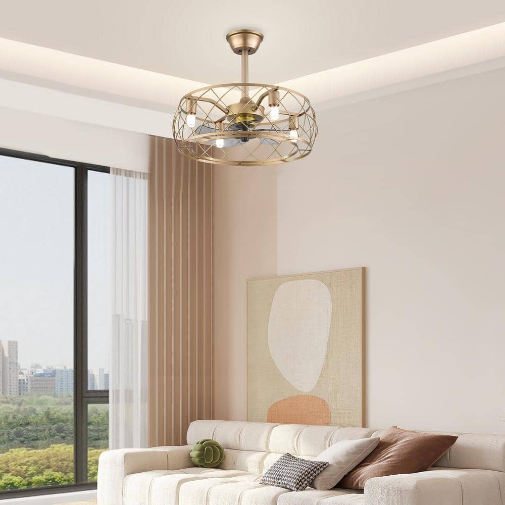 20" Gold Aluminum Caged Ceiling Fan with LED Light and Remote