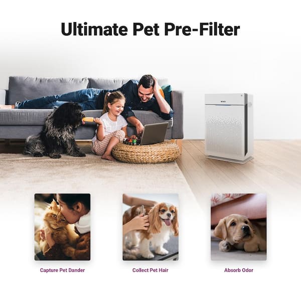 will an air purifier help with dog hair