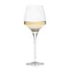 Chef&Sommelier Open Up 18.5 fl. oz. Tannic Stemmed Wine Glass (Set of 6)  Q1048 - The Home Depot