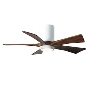 Irene 42 in. LED Indoor/Outdoor Damp Gloss White Ceiling Fan with Remote Control and Wall Control