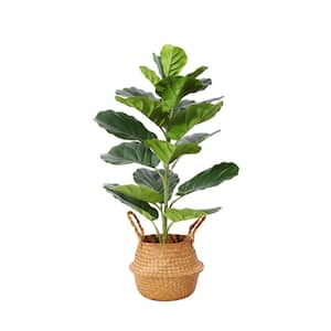 2 .5 ft. Green Artificial Plants Fake Fiddle Leaf Fig Tree in Woven Seagrass Basket