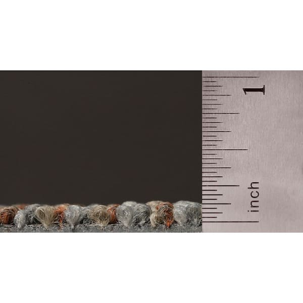 24 in. x 24 in. Textured Loop Carpet - Basics -Color Beige