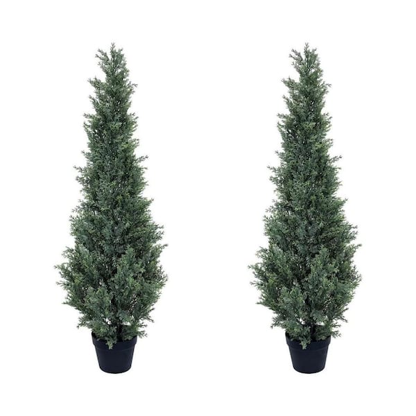 Home Depot Evergreen Treesnull