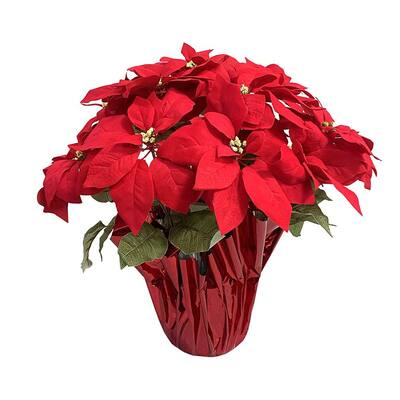 Arcadia Silk Plantation 24 Charisma Poinsettia Spray Chocolate Pack of 12 Arcadia Silk Plantation 24 Charisma Poinsettia Spray Chocolate Pack of 12