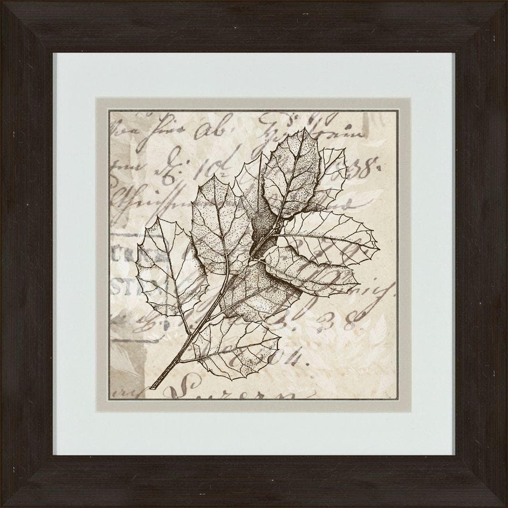 17 in. x 17 in. Sophisticated Botany B Framed Wall Art