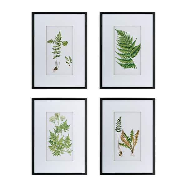 Set of 4 Neutral Botanical Black And White Fern Framed Wall Art Prints for All Home Decor 19.7 in. x 1.2 in. x 27.6 in.