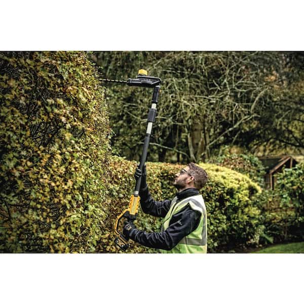 20V Max* Cordless Pole Hedge Trimmer, 18-Inch