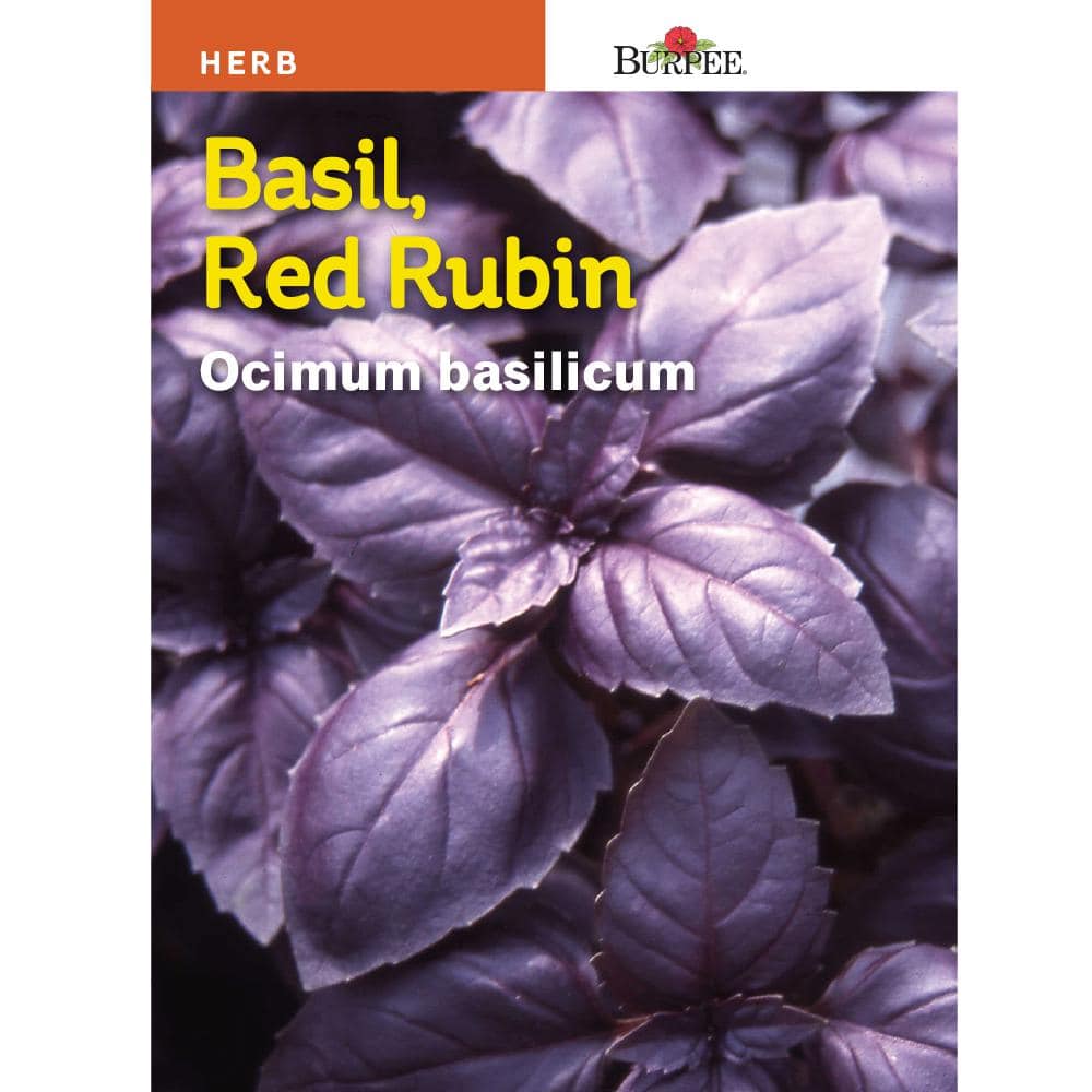 Takt om generelt Burpee Basil Red Rubin Herb 63158 - The Home Depot
