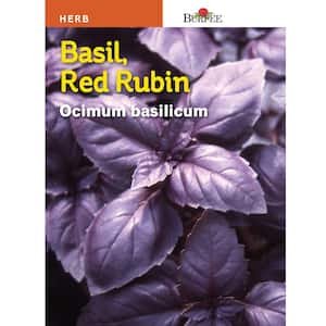 Basil Red Rubin Herb