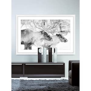 16 in. H x 24 in. W "Elk Pair" by Marmont Hill Framed Printed Wall Art
