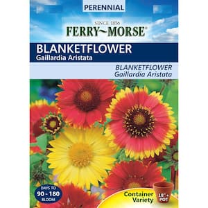 Blanketflower Seed