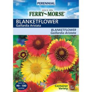 Blanketflower Seed