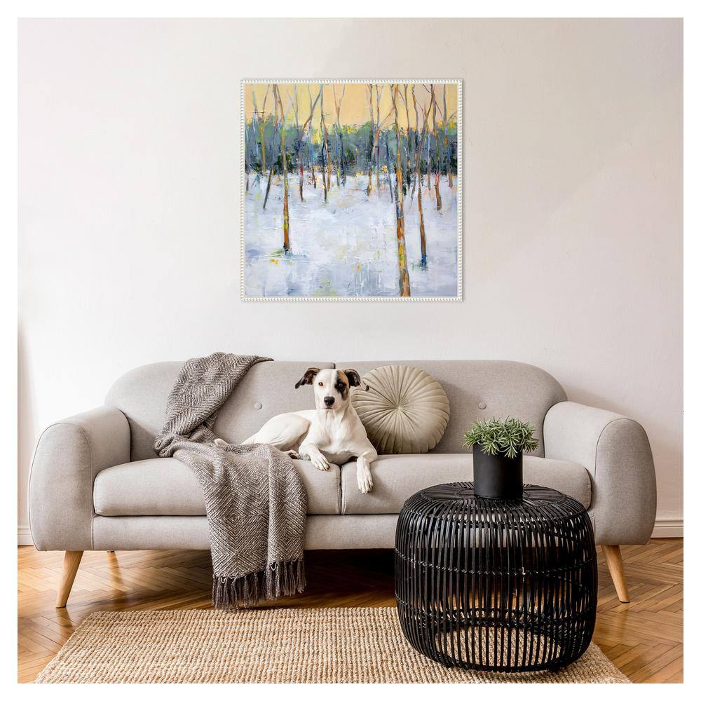 30"x30" White Beaded Frame Winter Forest Canvas Art