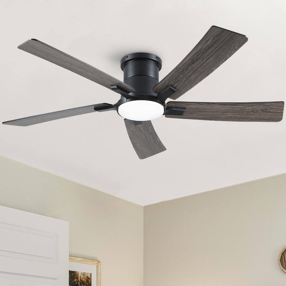 Stylish 52 in. Integrated LED Indoor Black Standard Flush Mount Ceiling Fan with Remote Contorl and Reversible Motor price history on PriceWatchPro