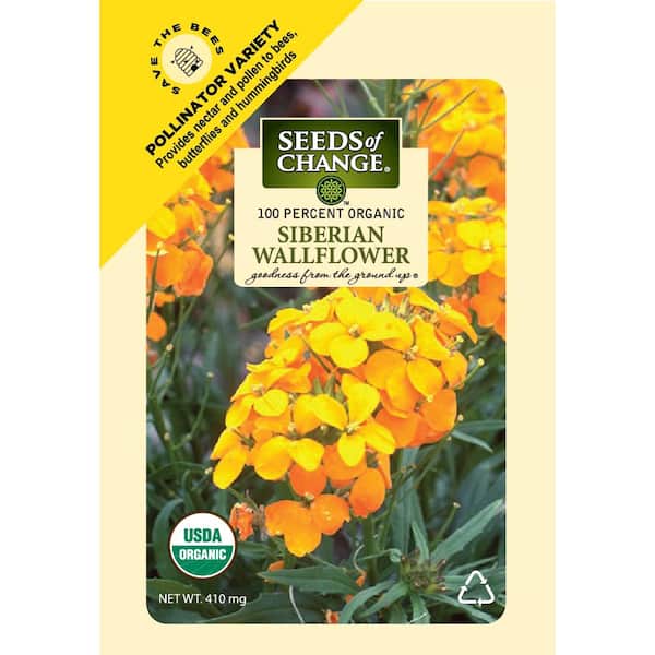 410 mg Siberian Wallflower Seeds