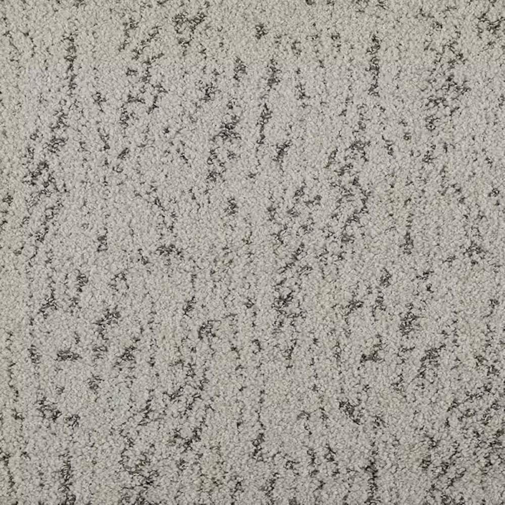 8 in. x 8 in. Pattern Carpet Sample - Tender Tomes - Color Oxygen price history on PriceWatchPro