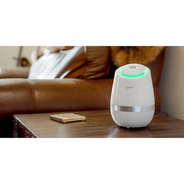 GreenTech Environmental Whole Home Purification, Cleans Air and Surfaces,  Easy Setup and Easy Use pureAir 3000 - The Home Depot