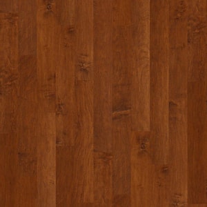 Take Home Sample - Inspire Maple Blaze Engineered Hardwood Flooring - 5 in. x 8 in.