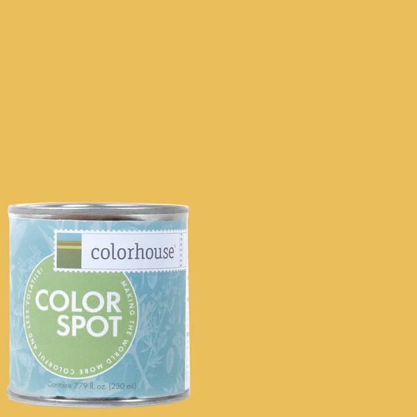 Colorhouse 8 oz. Aspire .05 Colorspot Eggshell Interior Paint Sample