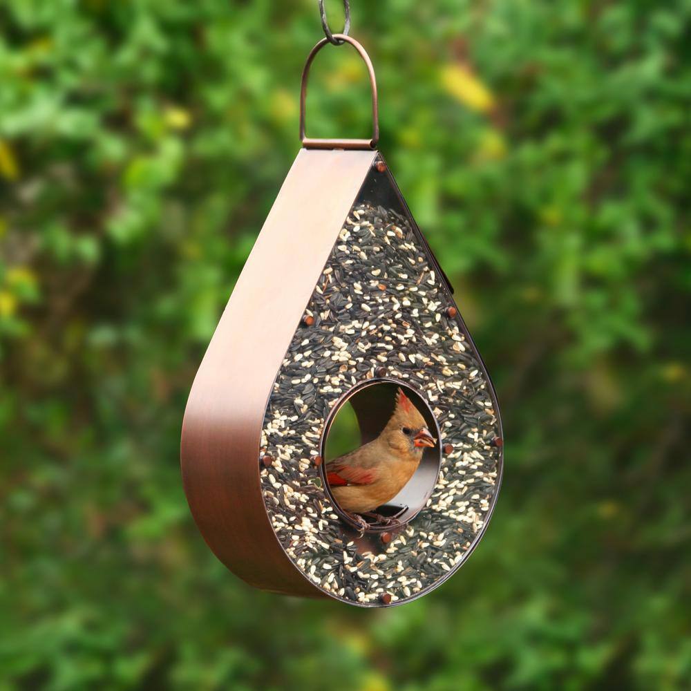 Copper and Plexiglass Hanging Teardrop Bird Feeder