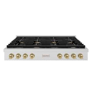 Autograph Edition Paramount 48 in. 8-Burner Porcelain Cooktop in Fingerprint Resistant Steel/Champagne Bronze Accents