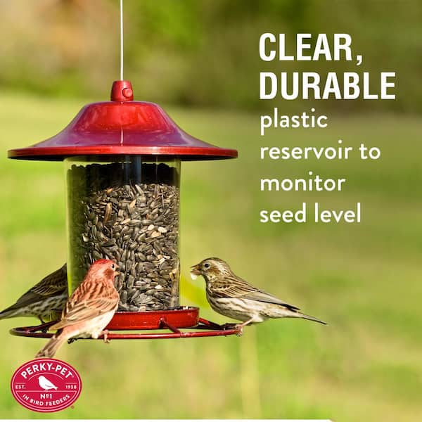https://images.thdstatic.com/productImages/9b18946f-c486-412a-81cb-5873ace088a3/svn/red-perky-pet-bird-feeders-312r-fa_600.jpg