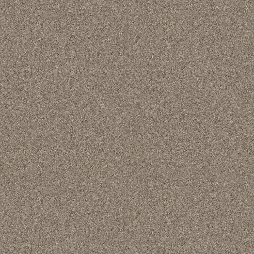 8 in. x 8 in. Texture Carpet Sample - Sunshine Cottage - Color Twig price history on PriceWatchPro