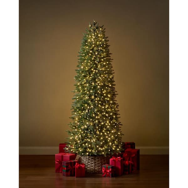 7.5 ft Jackson Noble Fir Slim LED Pre-Lit Artificial Christmas Tree T22